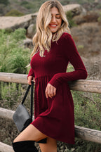 Black Frilled Neck Ribbed Knit Patchwork Long Sleeve Mini Dress