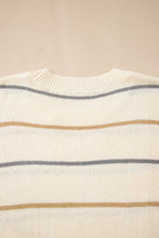 Multicolour Striped Print Drop Shoulder Shift Sweater Mini Dress